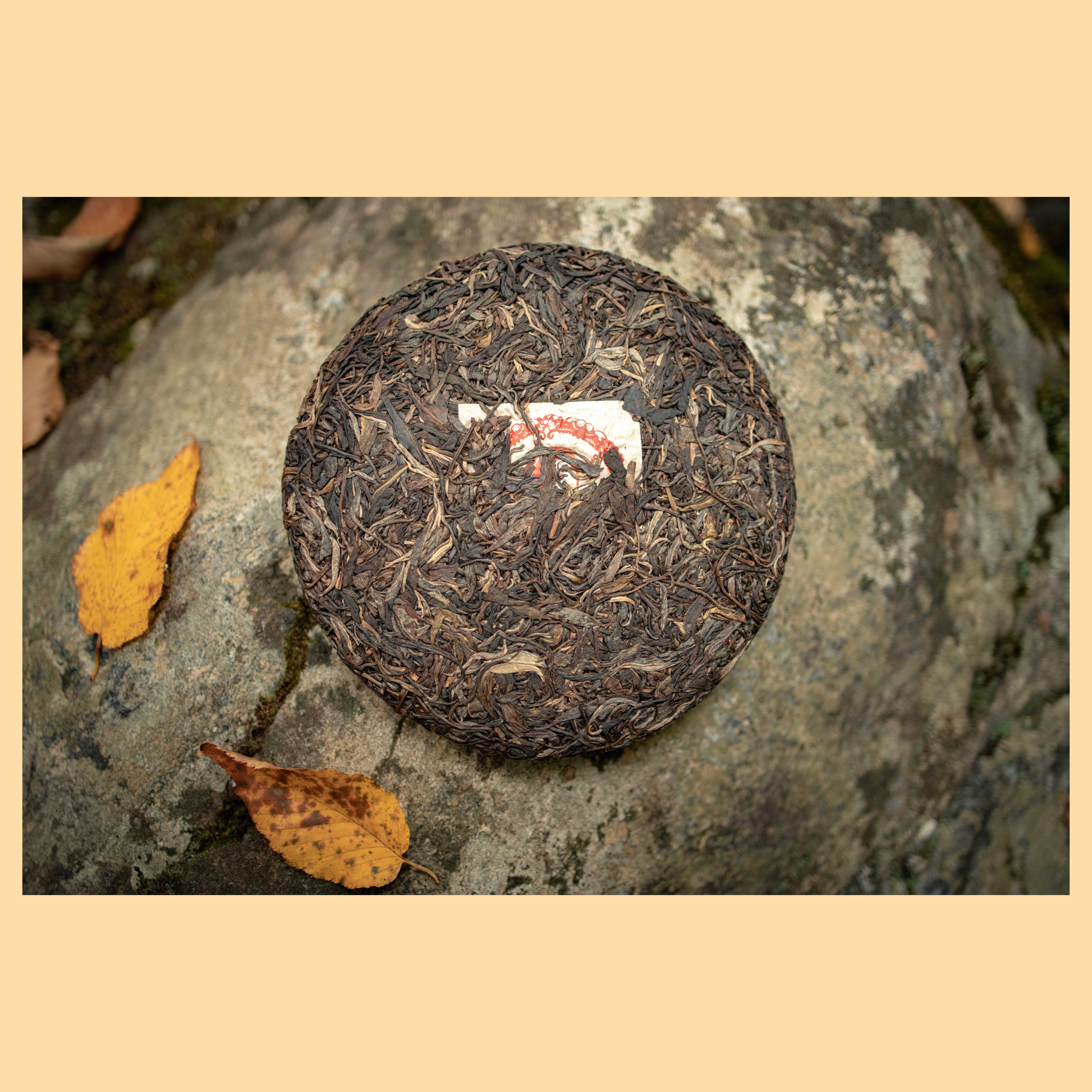 2016 Yiwu Zhengshan Raw Pu'er - Image 6