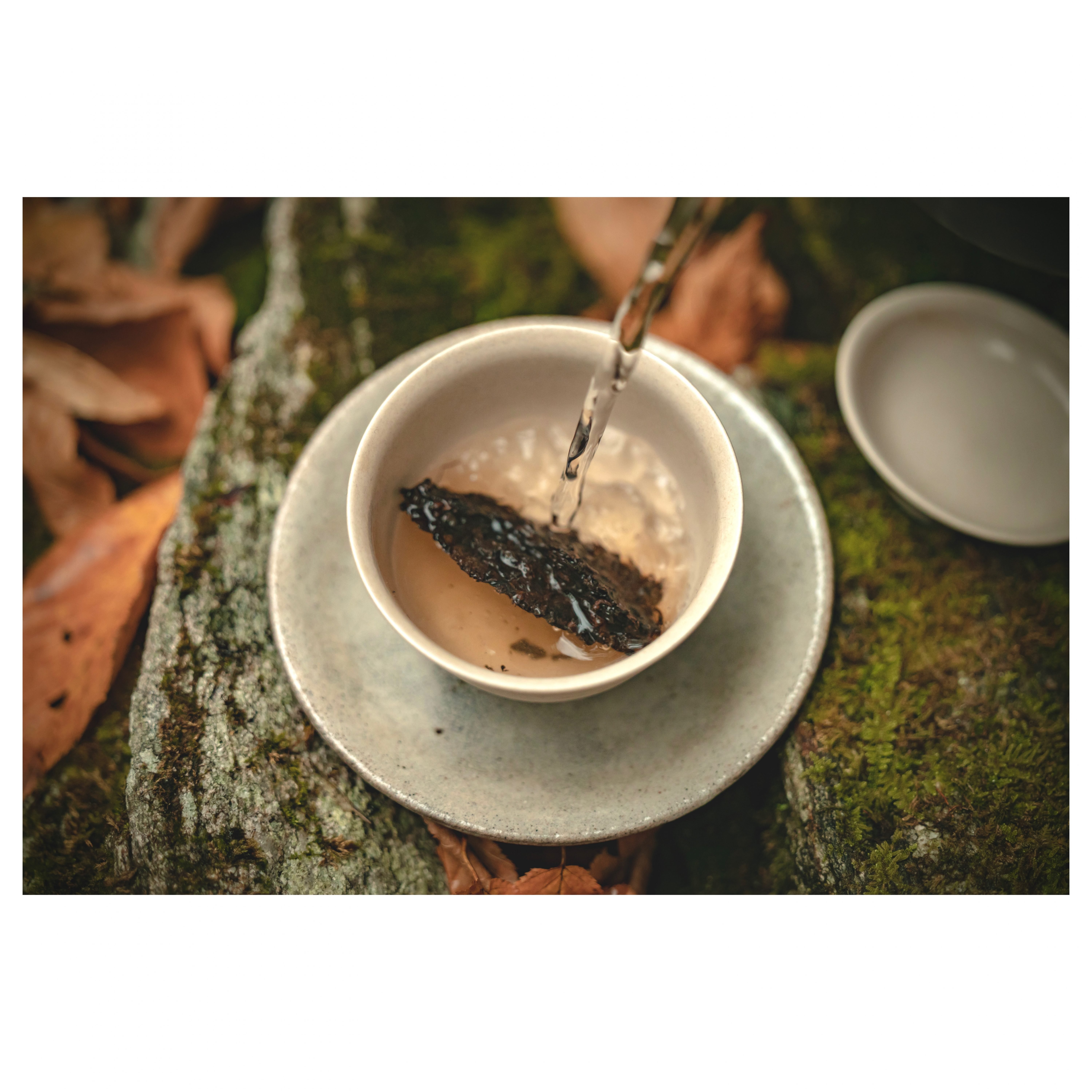 2012 Nannuoshan Ripe Pu'er - Image 6