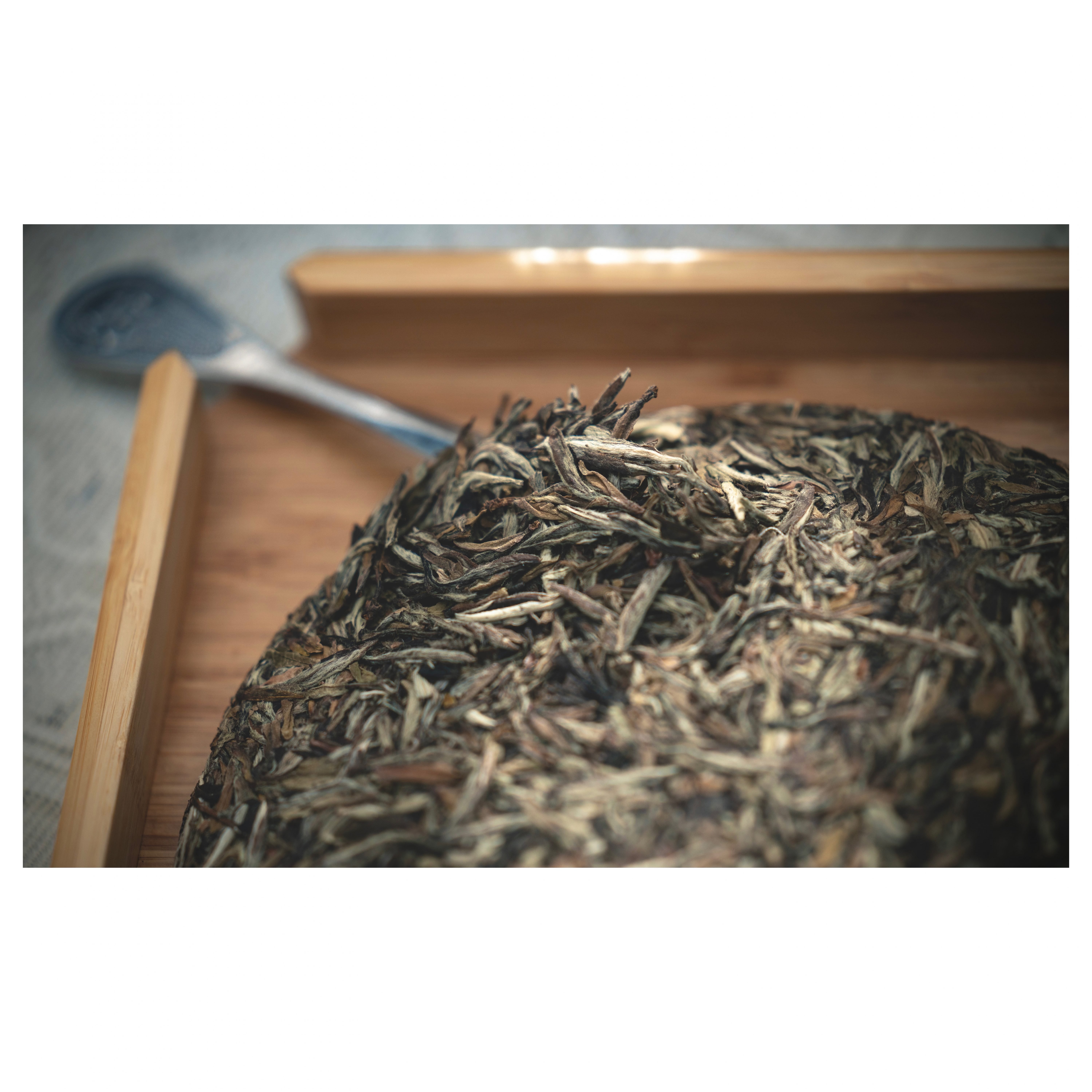 2016 Zhenghe Mu Dan Wang White Tea - Image 10