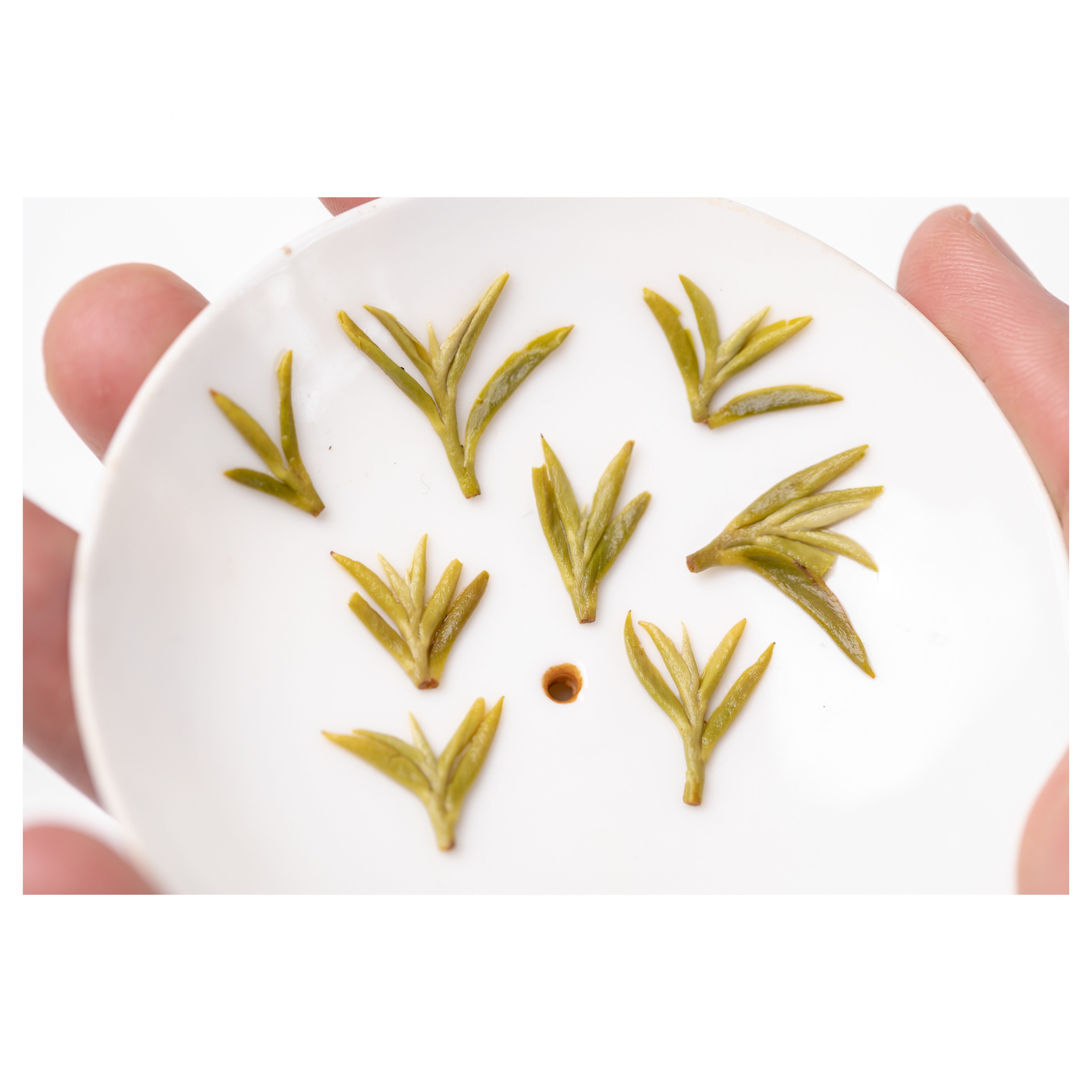 2021 Meng Ding Gan Lu Green Tea - Image 12