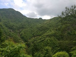IMG 3808