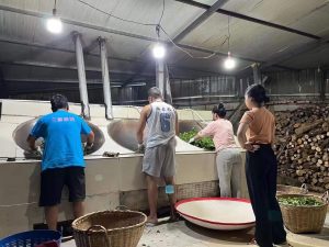 IMG 4585
