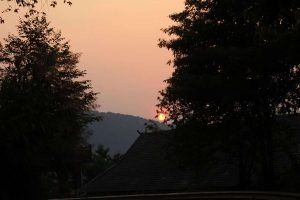 IMG 4851