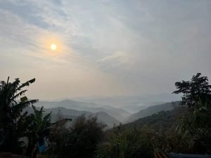 IMG 4373