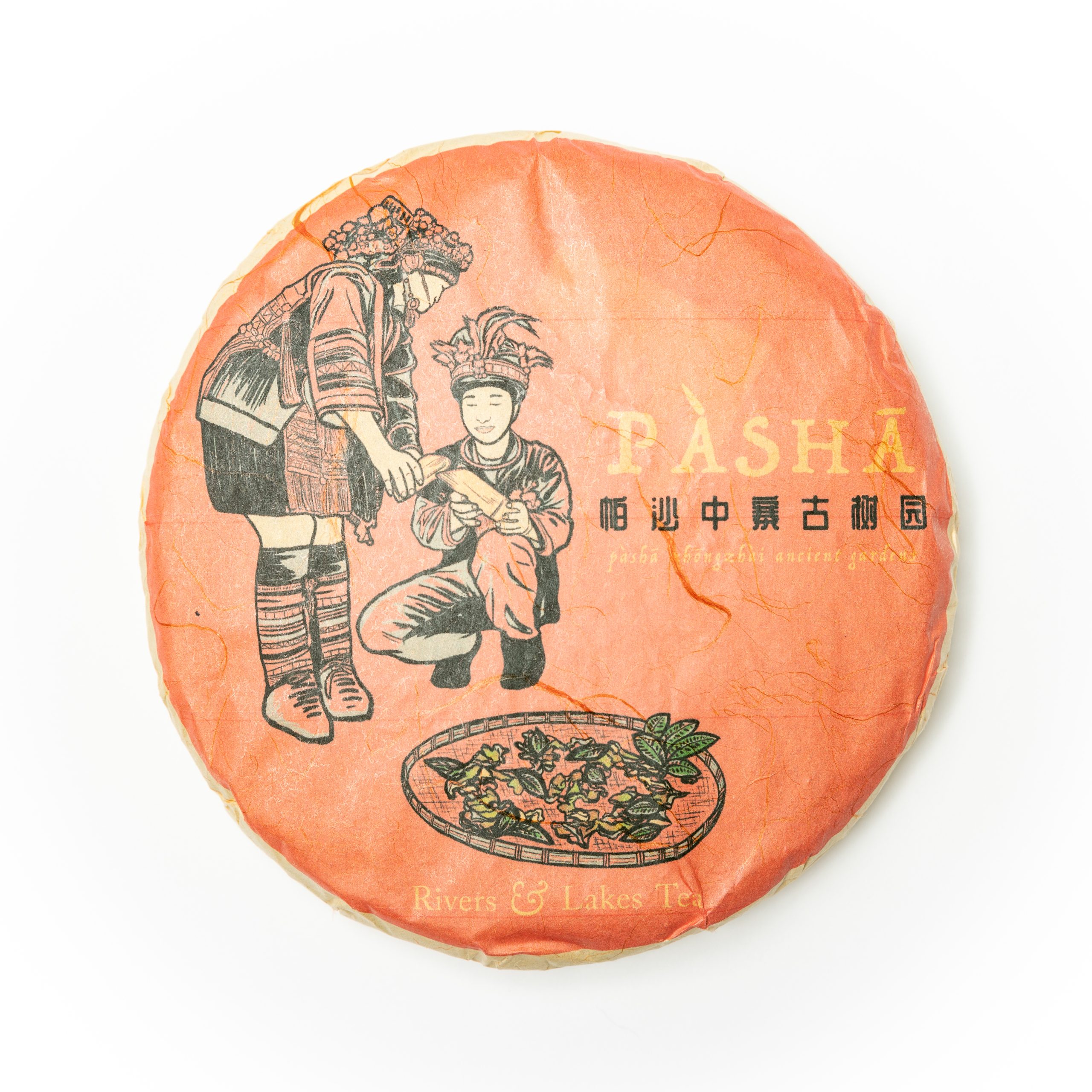 2023 Pasha