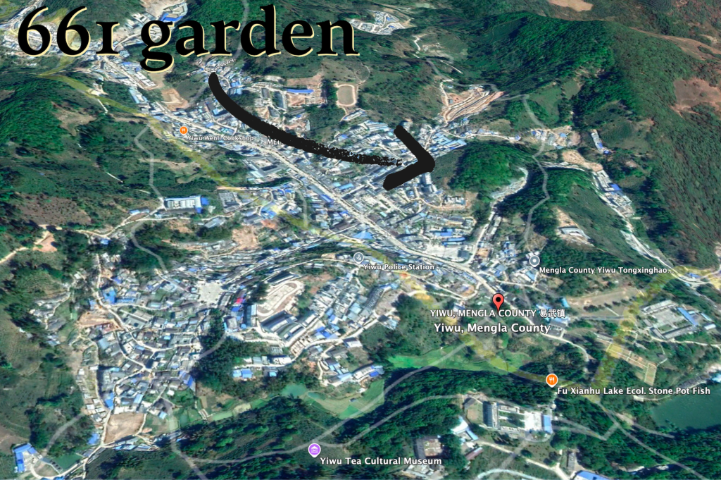 661garden