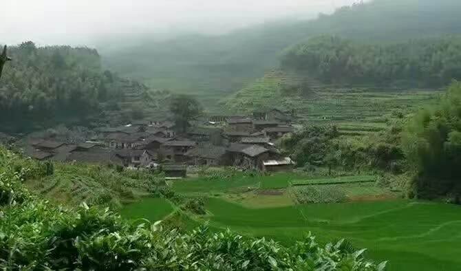 8cf085f7c9327b6096ffae19d179fb02